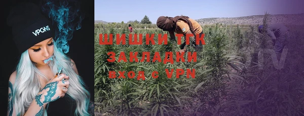 шишки Абдулино