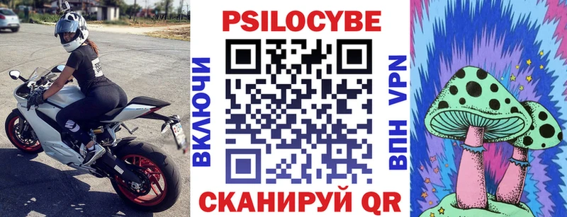Галлюциногенные грибы Psilocybe  Миллерово 